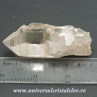 Cuart lemurian