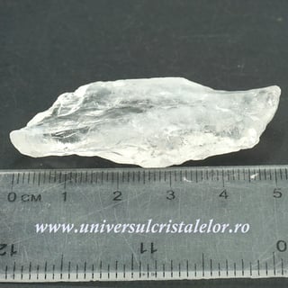 Cuart lemurian (radacina)