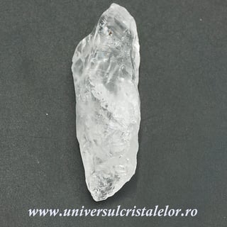 Cuart lemurian (radacina)