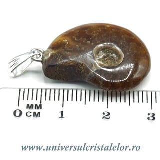 Pandantiv amonit cleoniceras