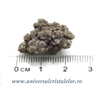 Coprolit de dinozaur