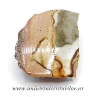 Jasp policrom polisat m1