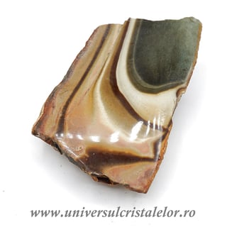 Jasp policrom polisat m2