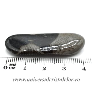 Piatra Vaticanului piatra rulata m1