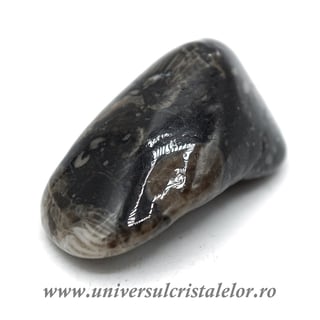 Piatra Vaticanului piatra rulata m2