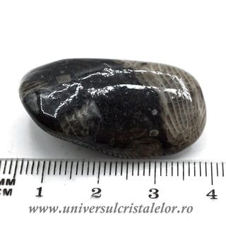 Piatra Vaticanului piatra rulata m2