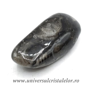 Piatra Vaticanului piatra rulata m6