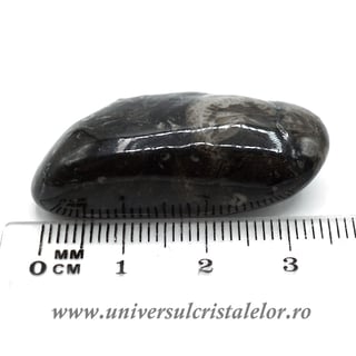 Piatra Vaticanului piatra rulata m6