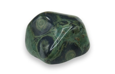 Jasp kambaba (jasp crocodil)