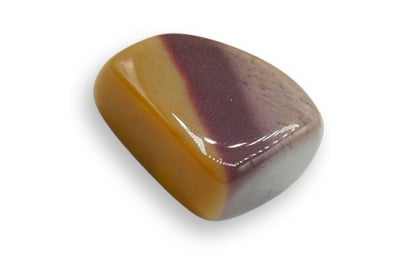 Jasp mookait (Jasp australian)