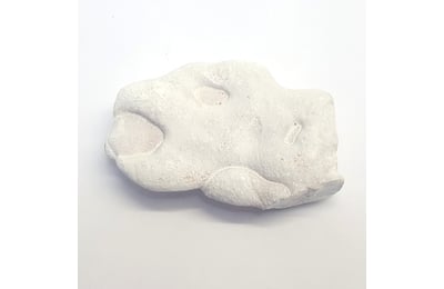 Piatra zanelor (Menilit)