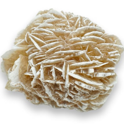 Trandafirul desertului