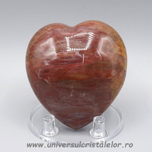 Inima lemn pietrificat