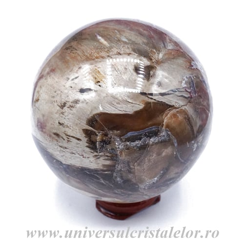 Sfera lemn pietrificat