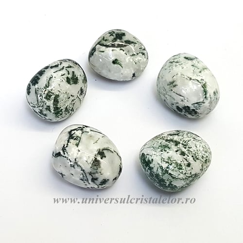 Agat copac piatra rulata