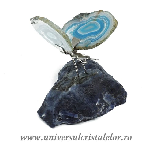 Fluture agat unicat m01