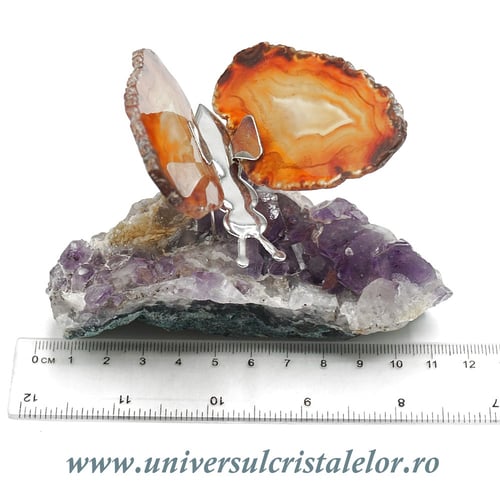 Fluture agat unicat m32