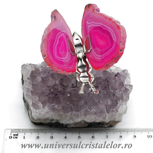 Fluture agat unicat m03