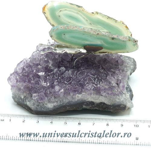 Fluture agat unicat m12