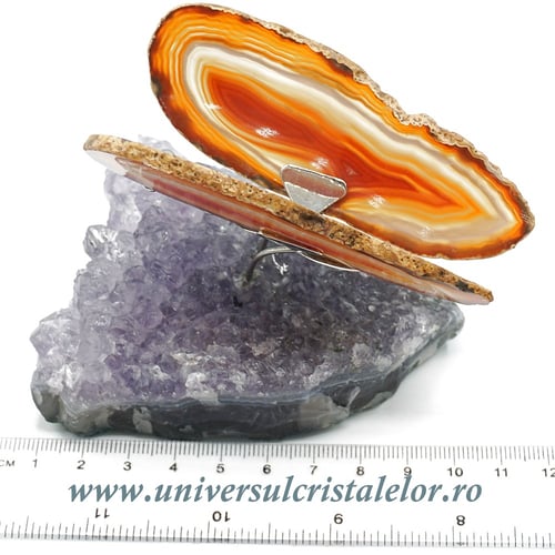 Fluture agat unicat m27