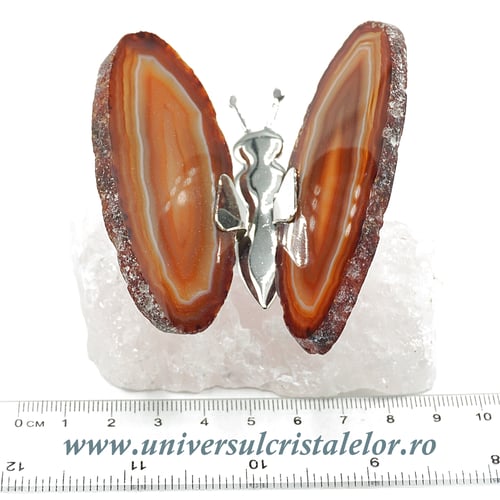 Fluture agat unicat m23