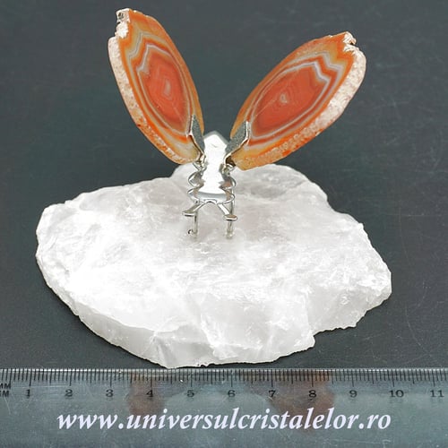 Fluture agat unicat m18