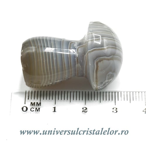 Figurina agat ciuperci