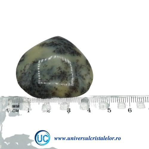 Inima agat dendritic