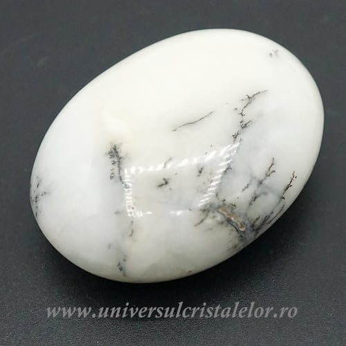 Agat dendritic polisat unicat m01