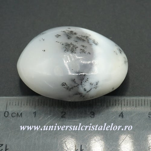 Opal dendritic polisat