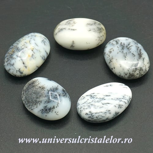 Opal dendritic polisat