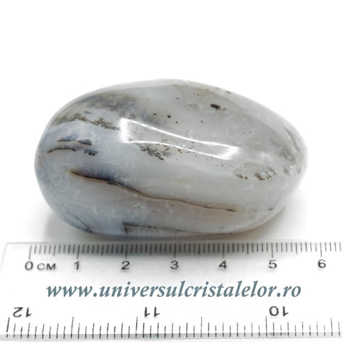 Agat dendritic polisat unicat m02