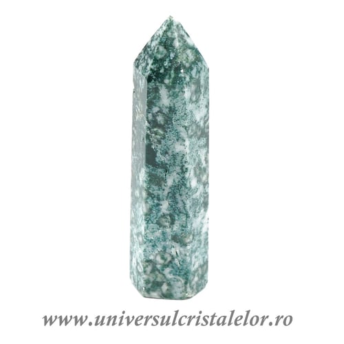 Agat muschi varf cu baza m2