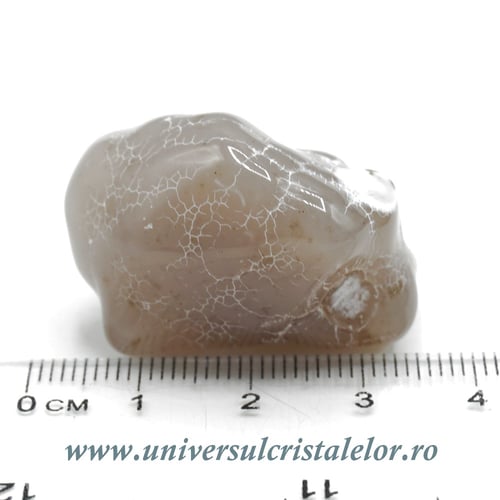 Agat piele de sarpe unicat m04