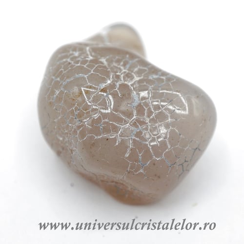 Agat piele de sarpe unicat m03