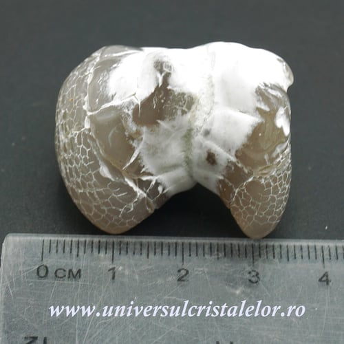 Agat piele de sarpe unicat m02