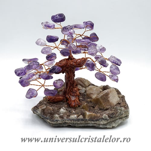 Pom ametist unicat m2