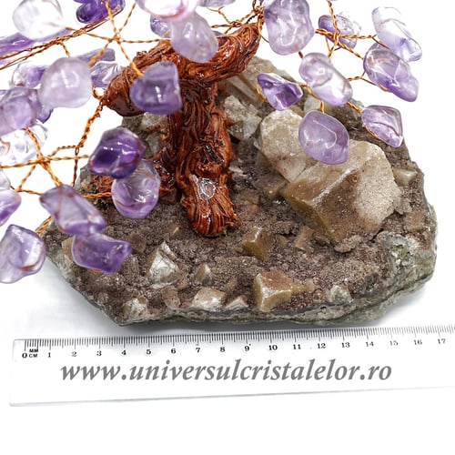 Pom ametist unicat m2