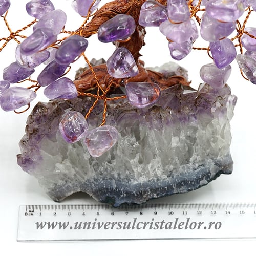 Pom ametist unicat m1