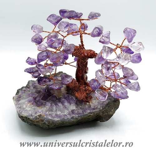 Pom ametist unicat m2