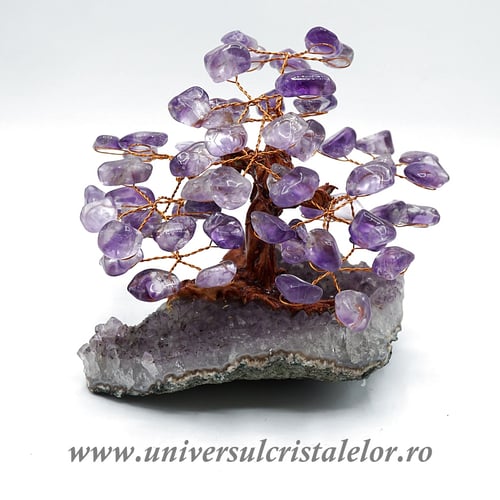 Pom ametist unicat m2