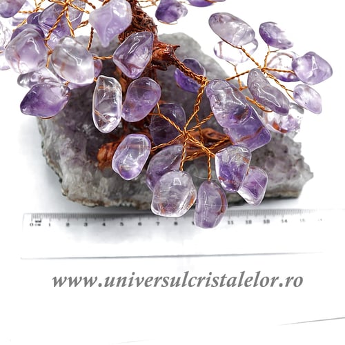 Pom ametist unicat m2