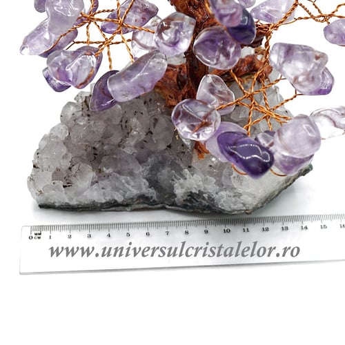 Pom ametist unicat m2