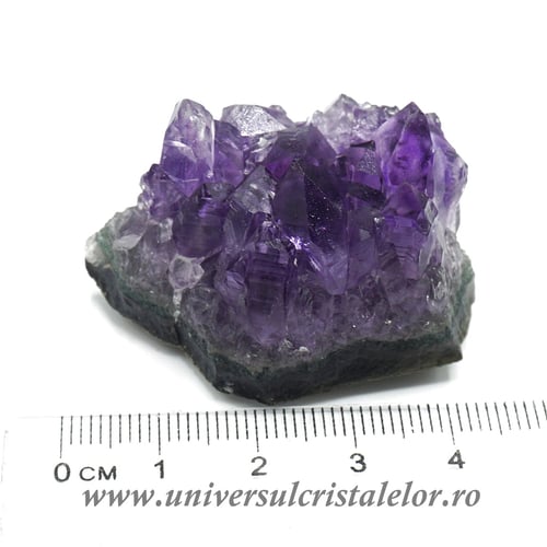 Ametist cluster Uruguay m06