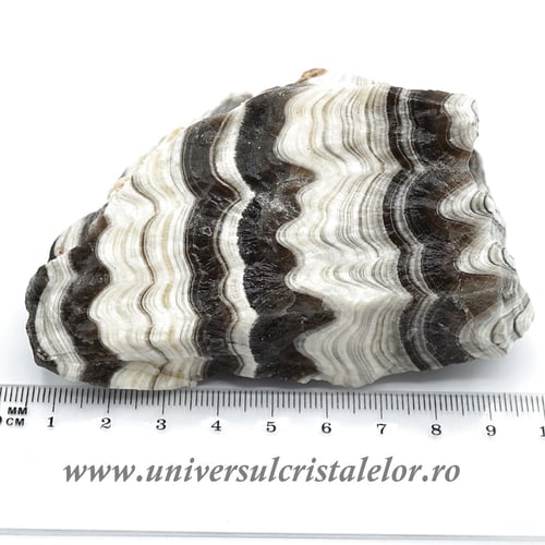 Aragonit zebrat mineral unicat m3