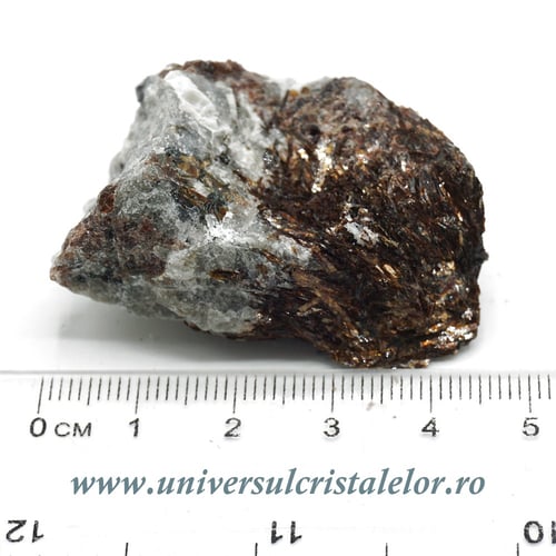 Astrofilit mineral unicat m5