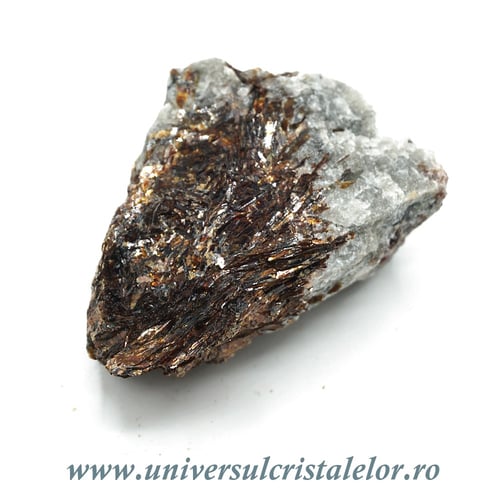 Astrofilit mineral unicat m5