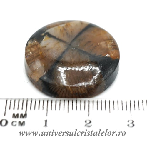 Cabochon chiastolit