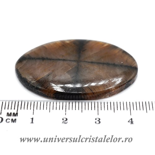 Cabochon chiastolit
