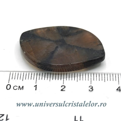 Cabochon chiastolit
